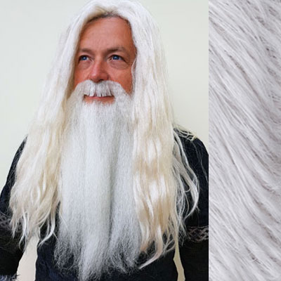 Dumbledore Wig, Beard & Moustache Set Colour 60