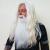 Dumbledore Beard & Moustache Colour 60 Silver Grey - Synthetic Hair - BMW - view 4