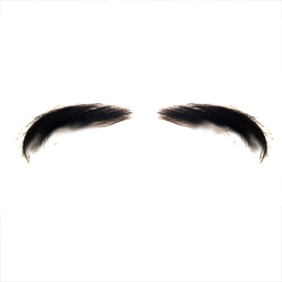 Eyebrows Style 1 - Large Exaggerated