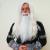 Dumbledore Beard & Moustache Colour 60 Silver Grey - Synthetic Hair - BMW - view 5