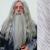 Gandalf Beard & Moustache Colour 60 Silver Grey - Synthetic Hair - BMW - view 1